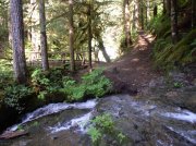 5.29.06 Siouxon Creek 049 